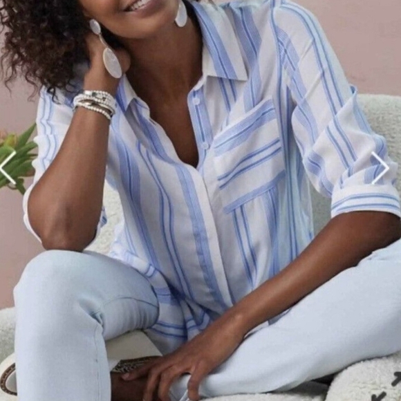 Soft Surroundings Ladson Blue and White Striped Tunic Top L - Picture 2 of 8